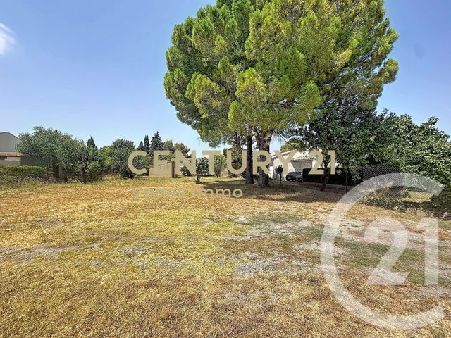 maison - COURNONTERRAL - 34