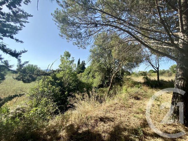 terrain à vendre - 10990.0 m2 - LOUPIAN - 34 - LANGUEDOC-ROUSSILLON - Century 21 Védas Immo