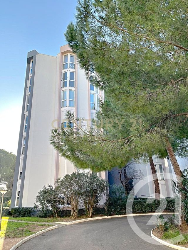 appartement - MONTPELLIER - 34