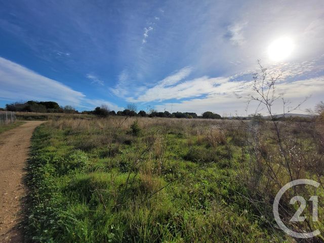 terrain à vendre - 2611.0 m2 - PIGNAN - 34 - LANGUEDOC-ROUSSILLON - Century 21 Védas Immo
