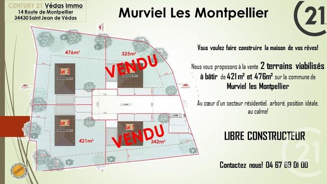 terrain - MURVIEL LES MONTPELLIER - 34