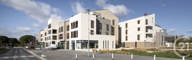 appartement - ST GEORGES D ORQUES - 34