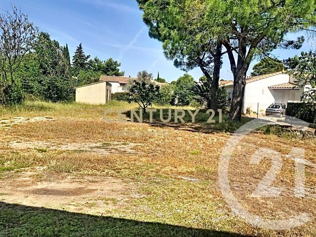 maison à louer - 3 pièces - 71.42 m2 - COURNONTERRAL - 34 - LANGUEDOC-ROUSSILLON - Century 21 Védas Immo