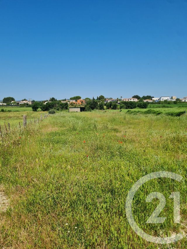 terrain à vendre - 2217.0 m2 - FABREGUES - 34 - LANGUEDOC-ROUSSILLON - Century 21 Védas Immo